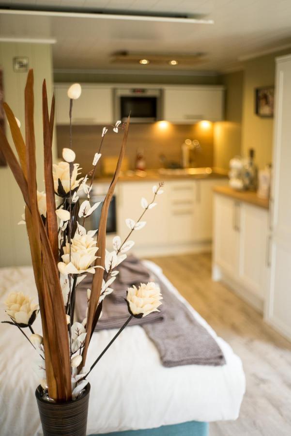 Sutton Cabins Stowey Luaran gambar
